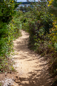 31体育开奖最新结果查询与中奖号码公布 31体育开奖最新结果查询与中奖号码公布