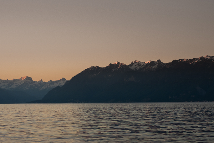 319期开奖号码正式公布结果查询 319期开奖号码正式公布结果查询