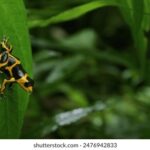 31号3d开奖号码最新公布结果查询 m90px39