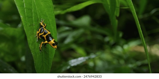 31号3d开奖号码最新公布结果查询 31号3d开奖号码最新公布结果查询