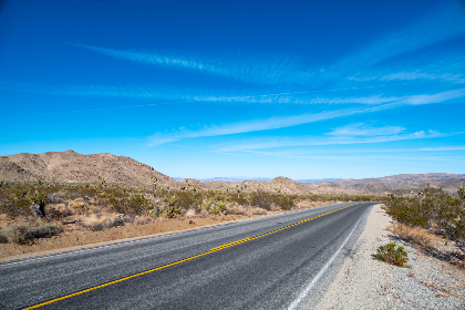 31期开奖走势全面解析:精准预测下一期号码 31期开奖走势全面解析:精准预测下一期号码