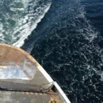 31球开奖查询最新结果与历史中奖号码全览 wph2jwl1