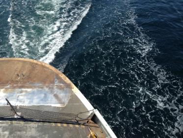 31球开奖查询最新结果与历史中奖号码全览 31球开奖查询最新结果与历史中奖号码全览