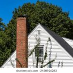 31选7开奖结果走势图最新分析与历史数据汇总 yih43z24x